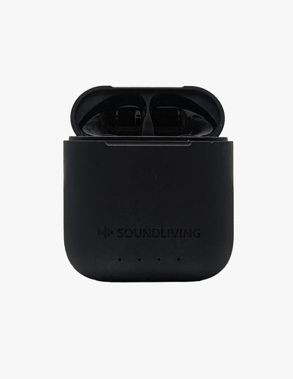 Caso per gli auricolari 2.0